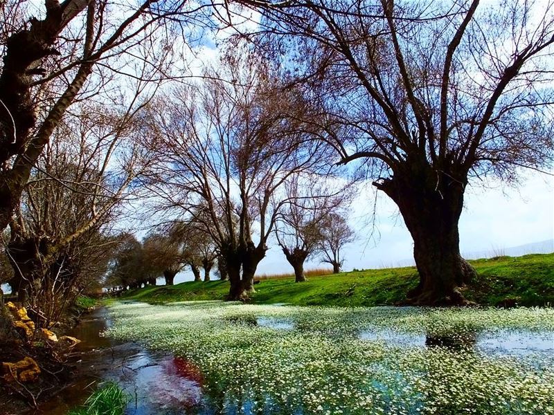  hiking  explorelebanon  picoftheday  livelovelebanon  naturephotography ... (`Ammiq, Béqaa, Lebanon)