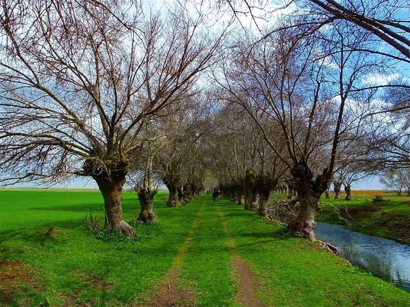  hiking  explorelebanon  picoftheday  livelovelebanon  naturephotography ... (`Ammiq, Béqaa, Lebanon)