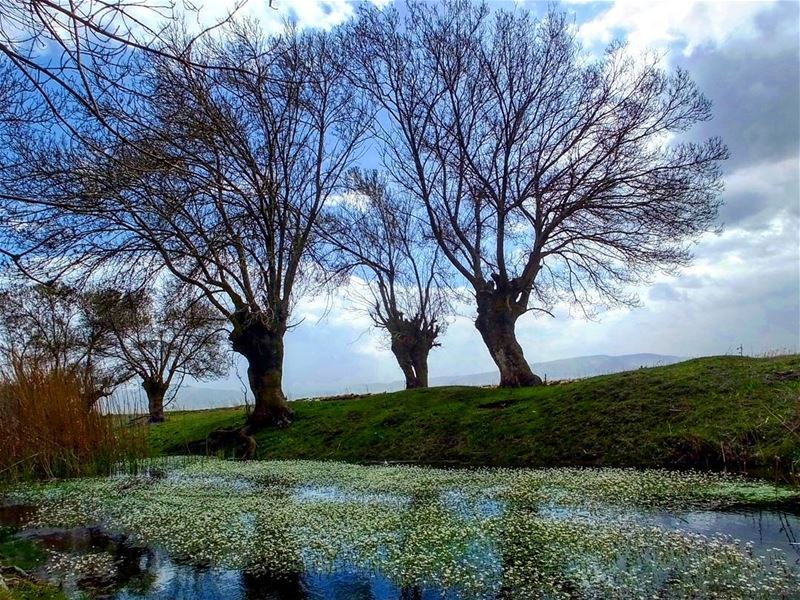  hiking  explorelebanon  picoftheday  livelovelebanon  naturephotography ... (`Ammiq, Béqaa, Lebanon)