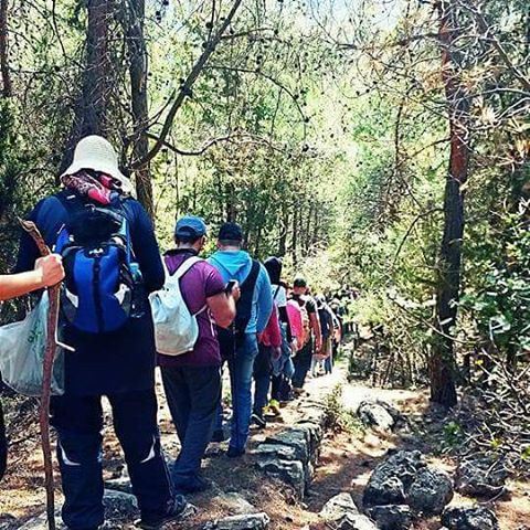  hiking  hikers  friendsofnature  naturelovers  springhike  liveloveehden ...