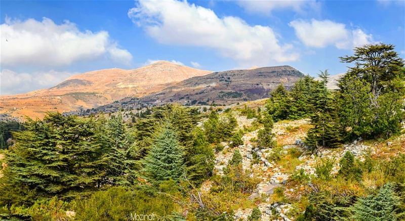  hiking hikingadventures forest landscape landscaping adventuretime... (Arz Tannoûrîne)