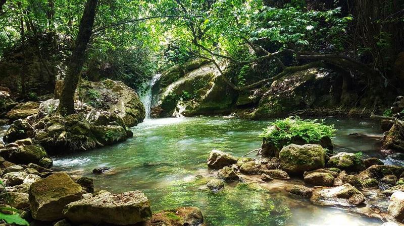  hiking hikingadventures hike exploring exploremore lifeofadventure... (Lebanon)