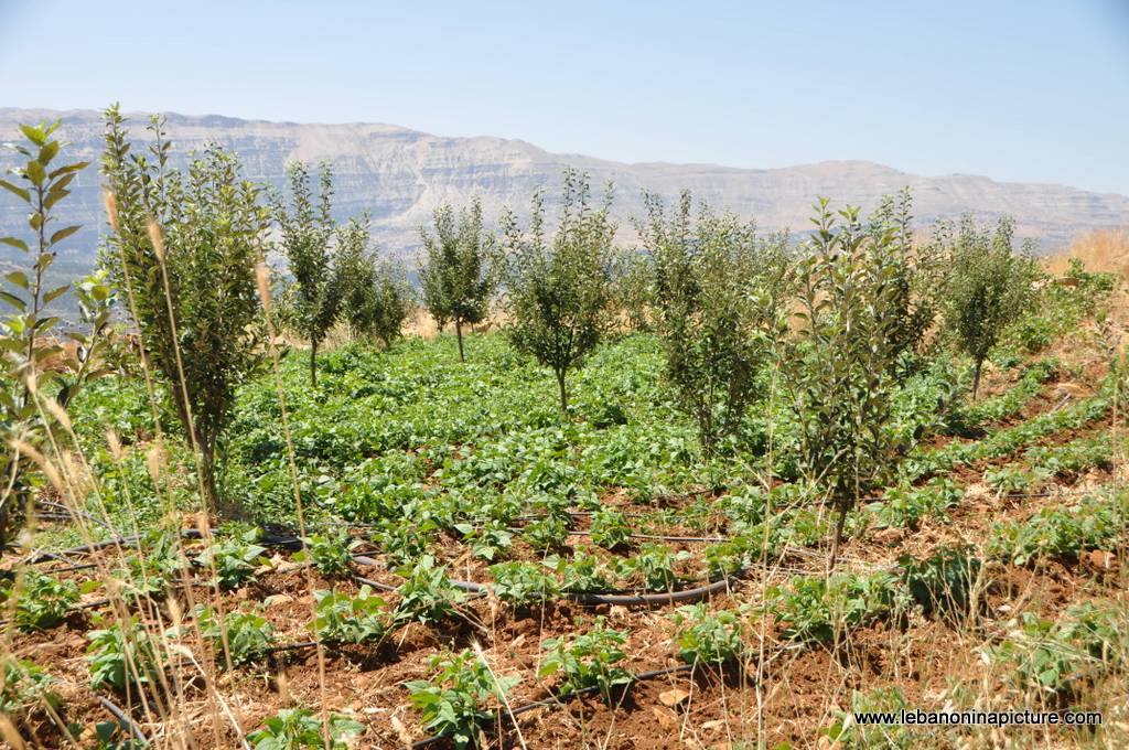 Hiking in Akoura with Promax