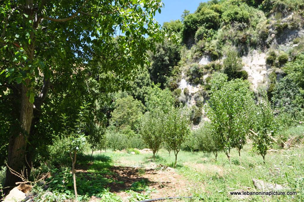 Hiking in Akoura with Promax