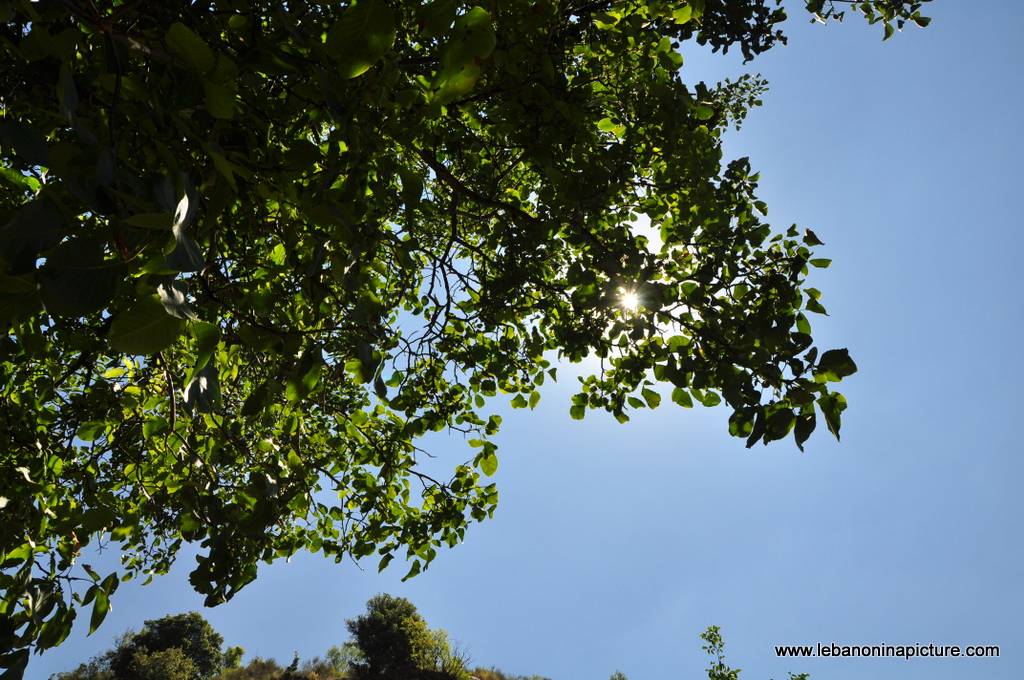 Hiking in Akoura with Promax