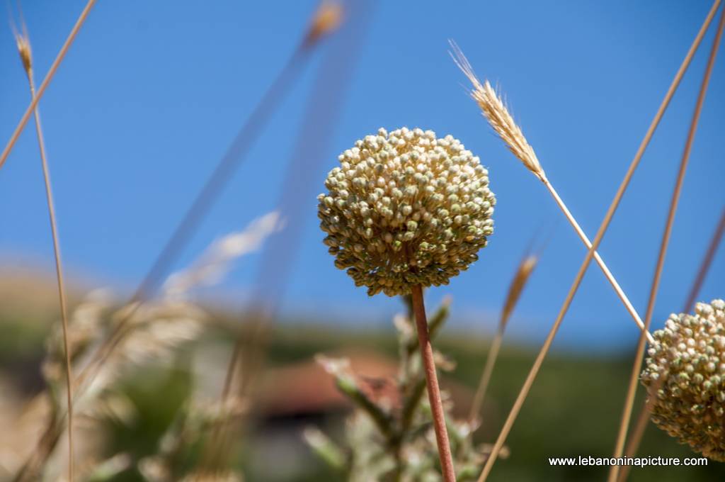 Hiking in Akoura with Promax