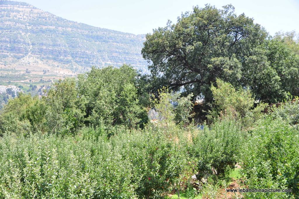 Hiking in Akoura with Promax