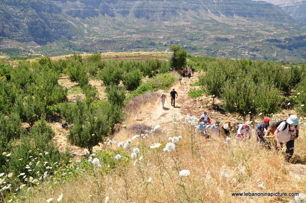 Hiking in Akoura with Promax