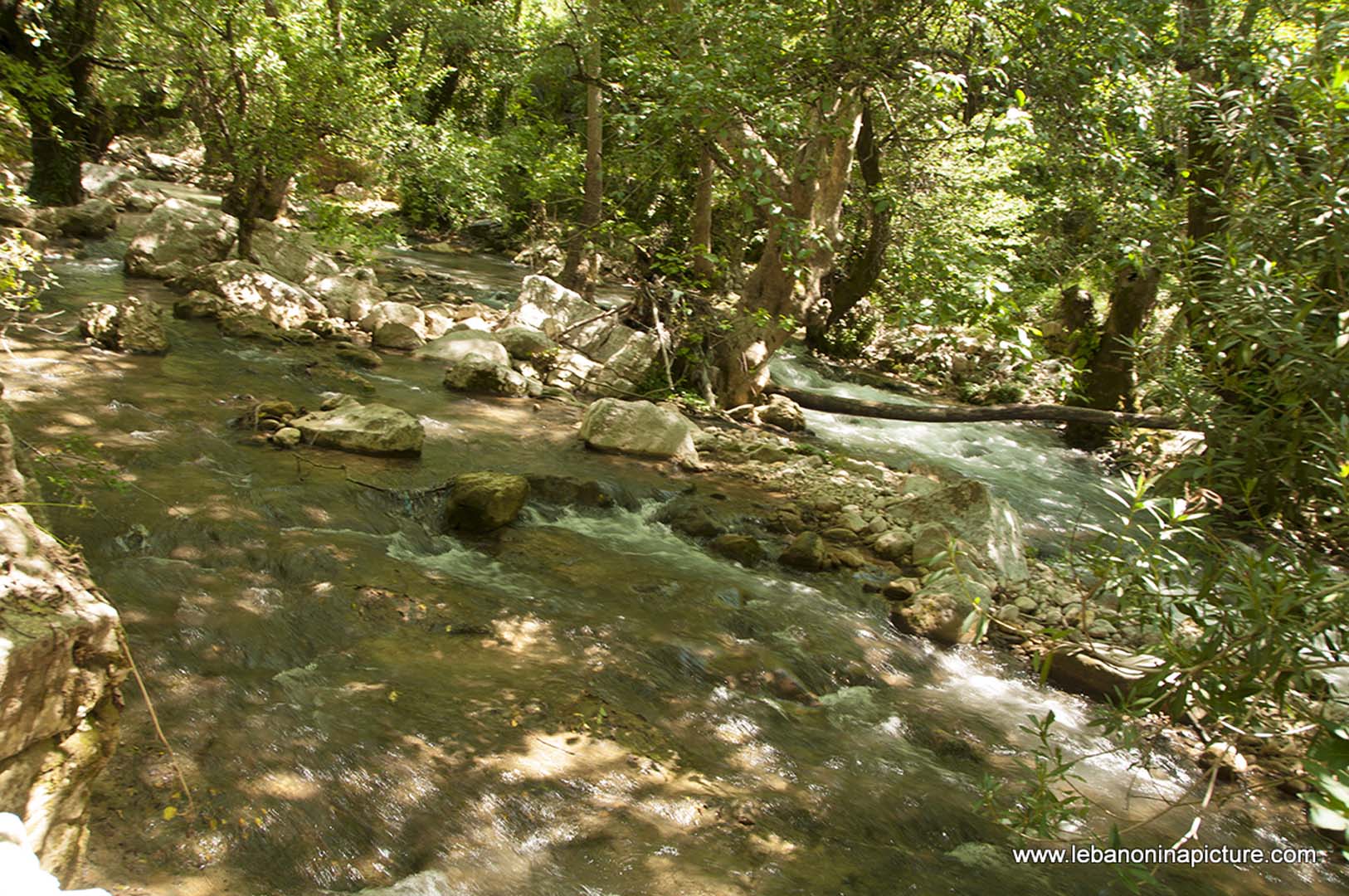 Hiking in Wadi Al Mokhtara with Promax (Shouf Biosphere Reserve)