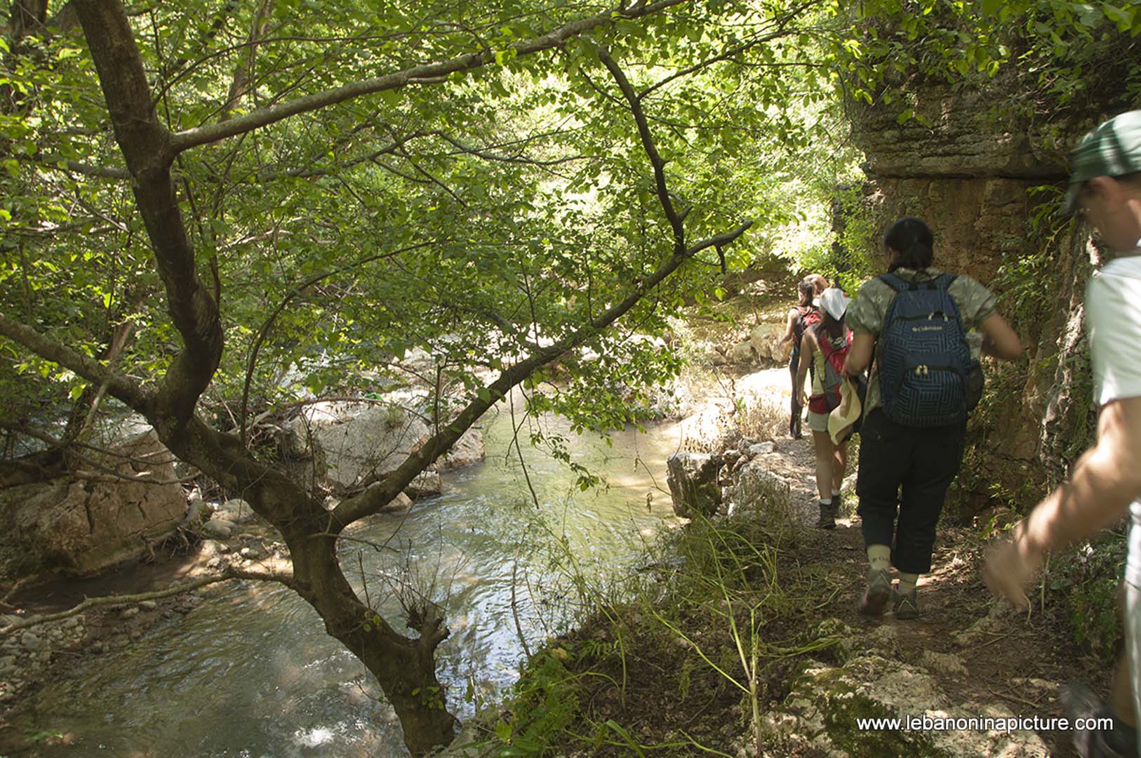 Hiking in Wadi Al Mokhtara with Promax (Shouf Biosphere Reserve)