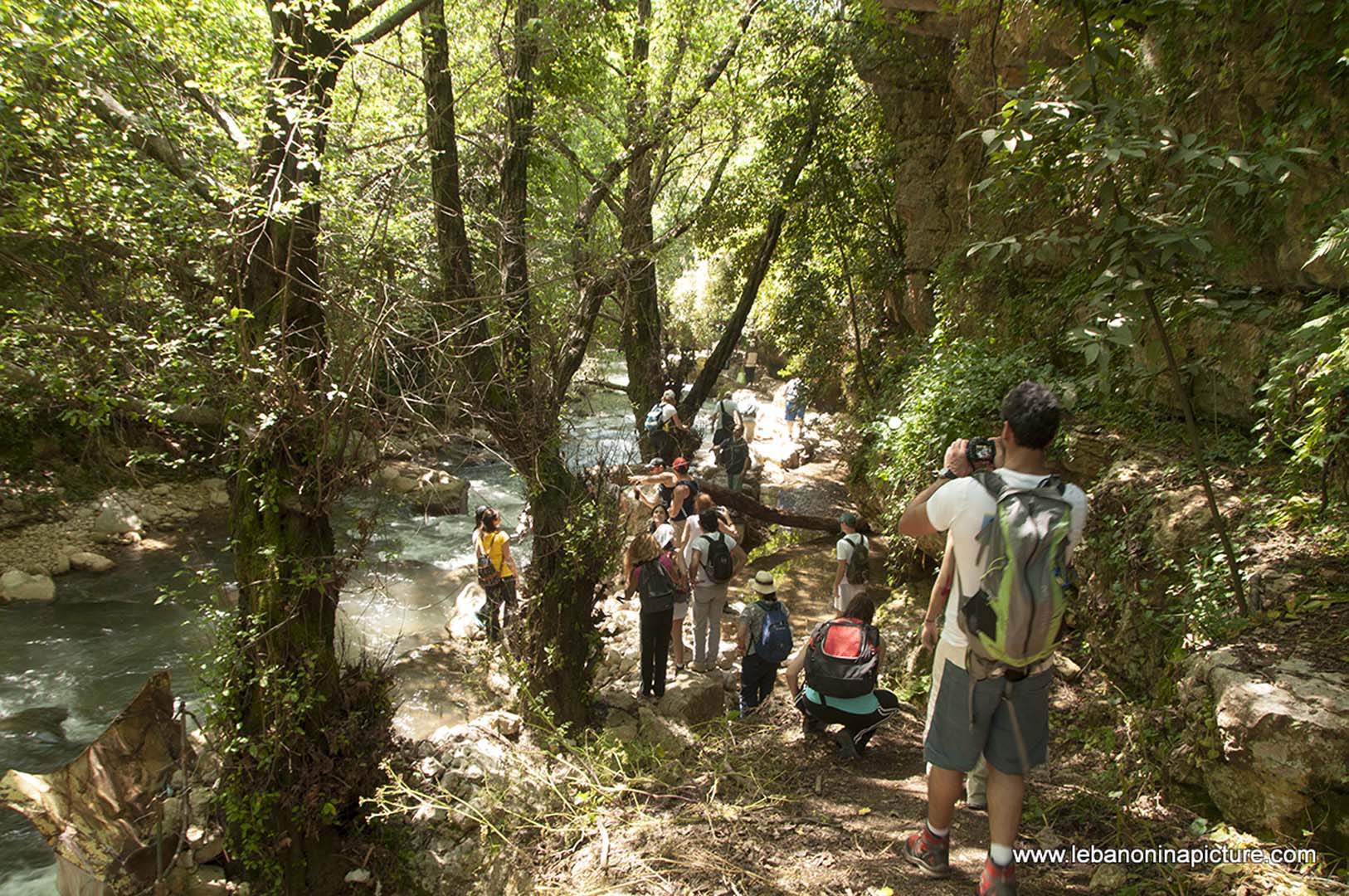 Hiking in Wadi Al Mokhtara with Promax (Shouf Biosphere Reserve)