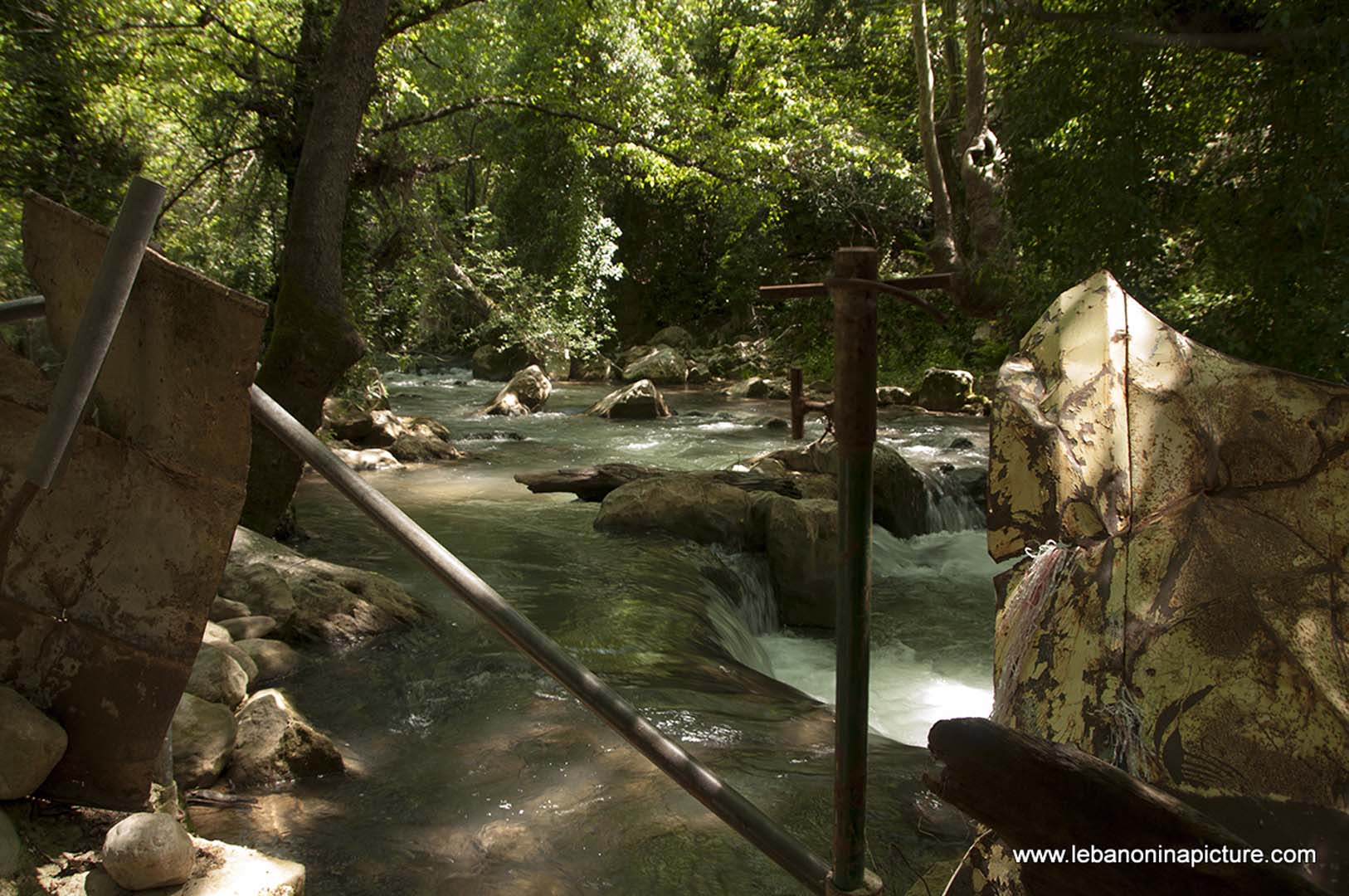 Hiking in Wadi Al Mokhtara with Promax (Shouf Biosphere Reserve)