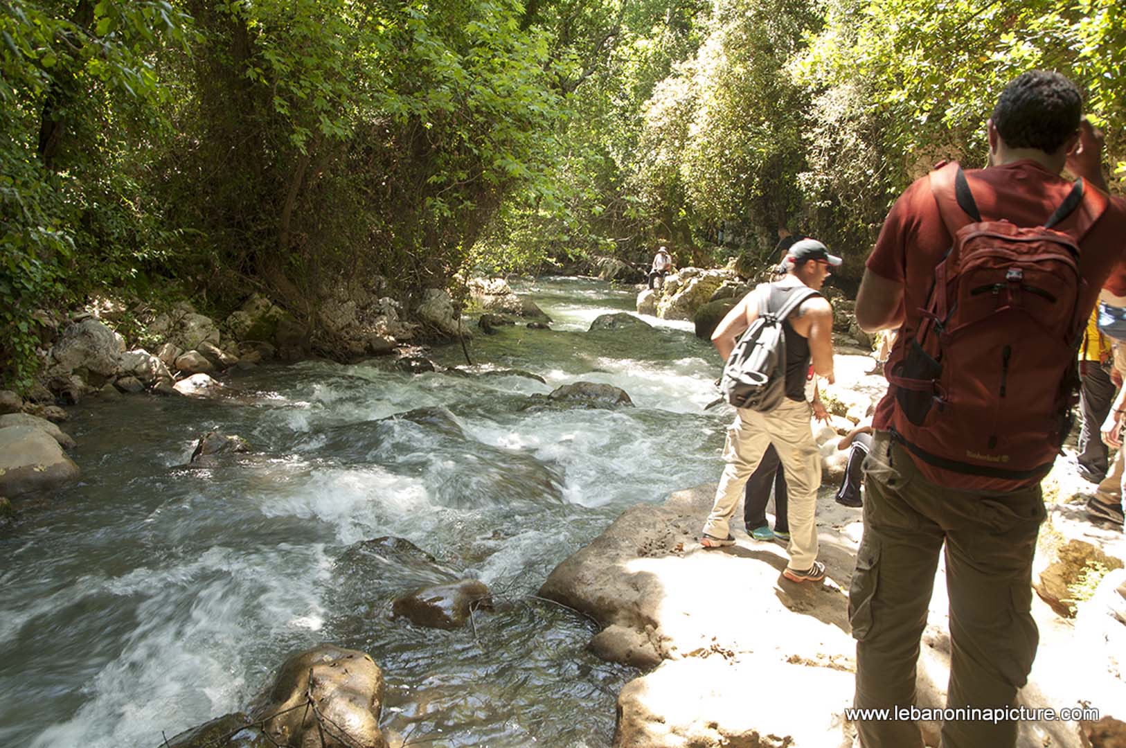 Hiking in Wadi Al Mokhtara with Promax (Shouf Biosphere Reserve)