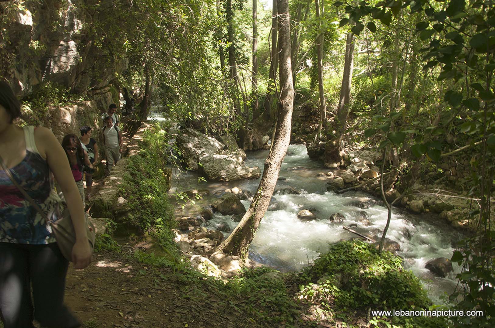 Hiking in Wadi Al Mokhtara with Promax (Shouf Biosphere Reserve)