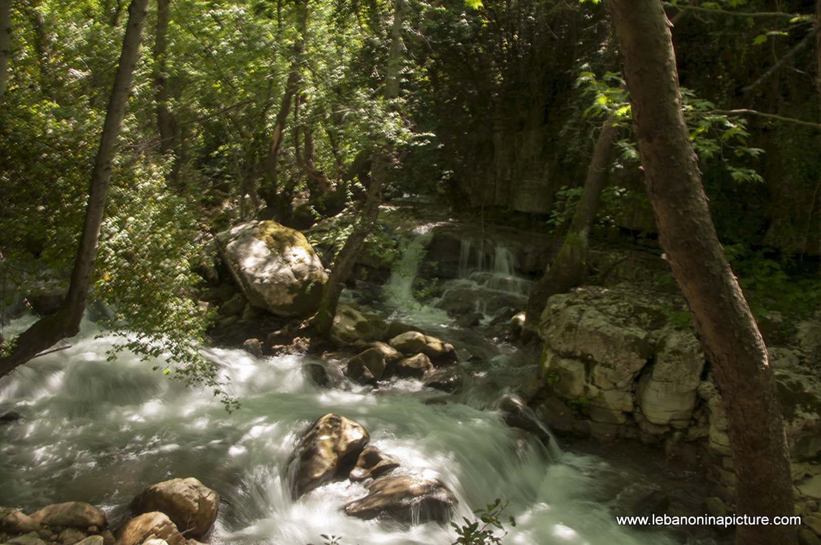 Hiking in Wadi Al Mokhtara with Promax (Shouf Biosphere Reserve)