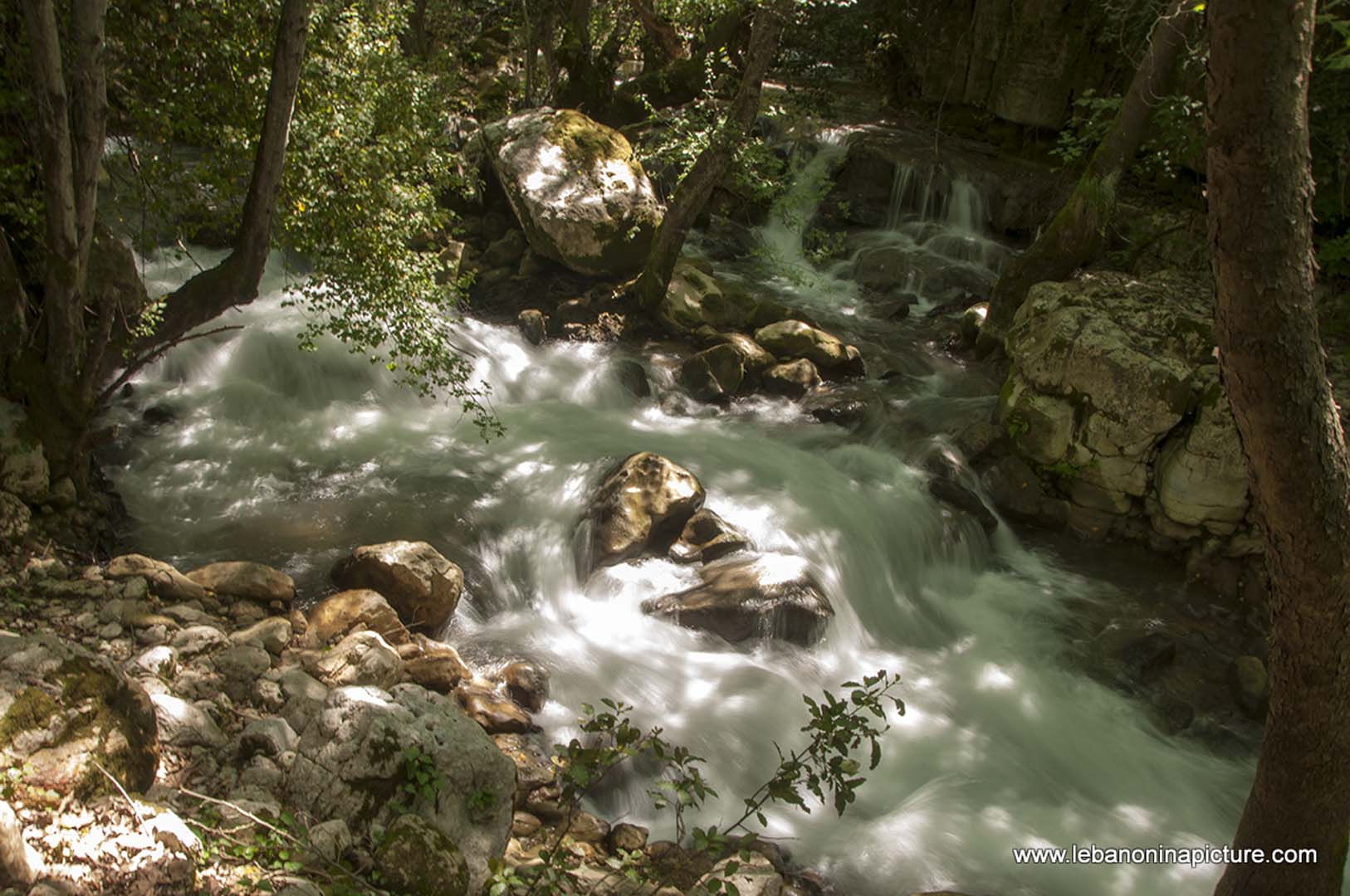 Hiking in Wadi Al Mokhtara with Promax (Shouf Biosphere Reserve)