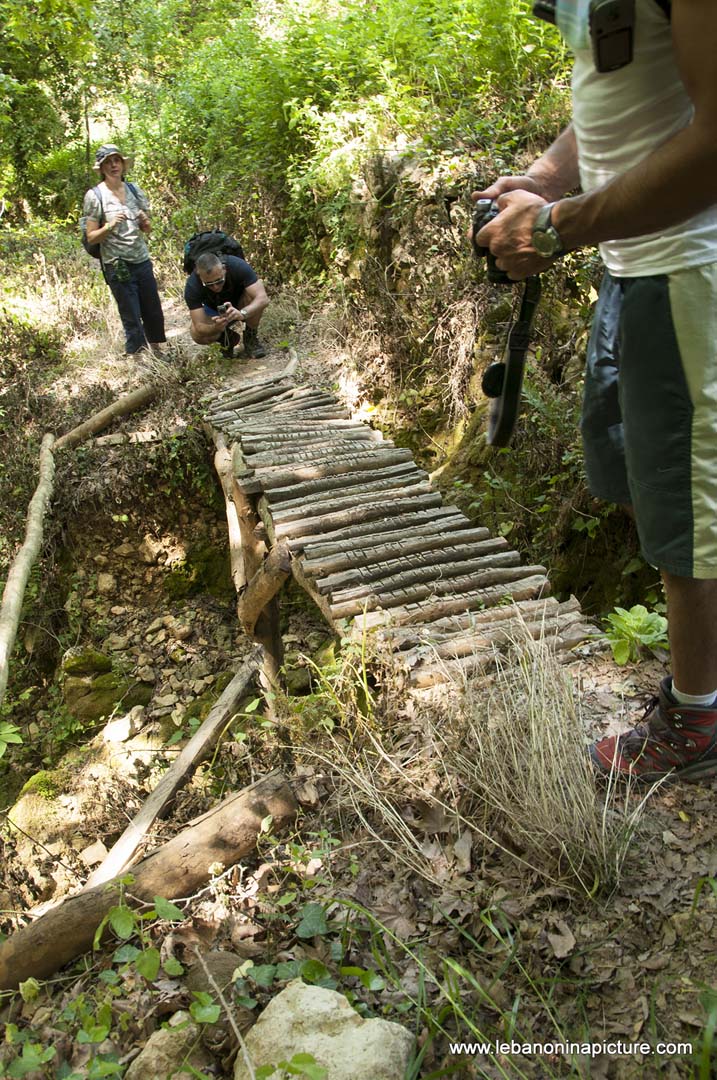 Hiking in Wadi Al Mokhtara with Promax (Shouf Biosphere Reserve)