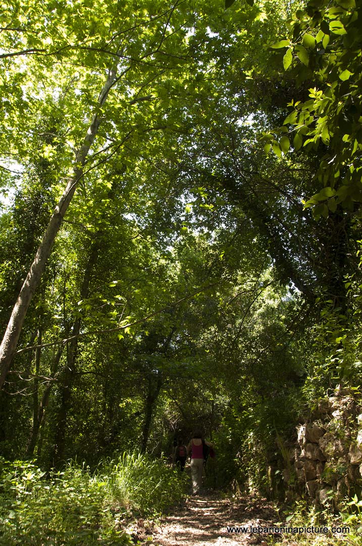 Hiking in Wadi Al Mokhtara with Promax (Shouf Biosphere Reserve)