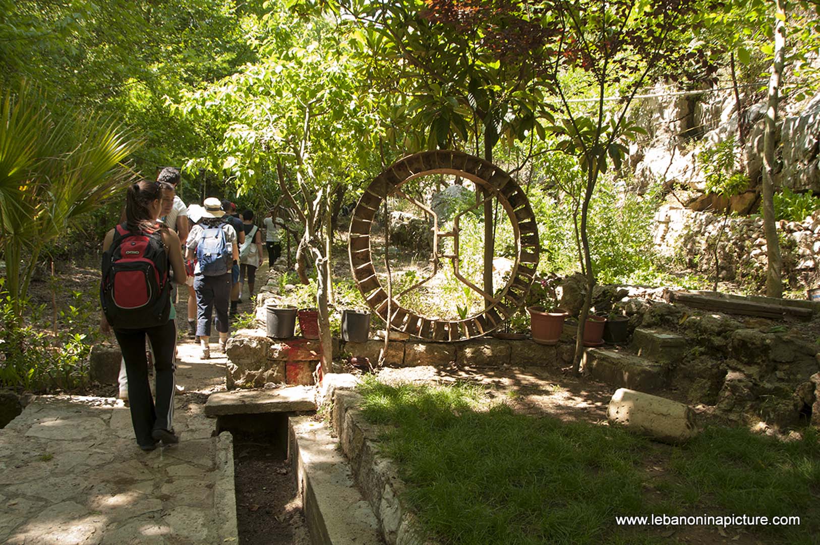 Hiking in Wadi Al Mokhtara with Promax (Shouf Biosphere Reserve)