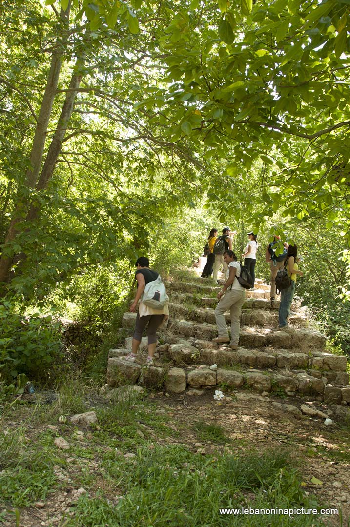 Hiking in Wadi Al Mokhtara with Promax (Shouf Biosphere Reserve)