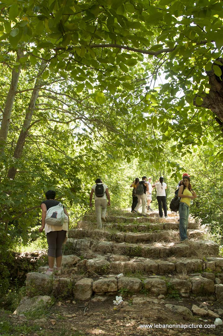 Hiking in Wadi Al Mokhtara with Promax (Shouf Biosphere Reserve)