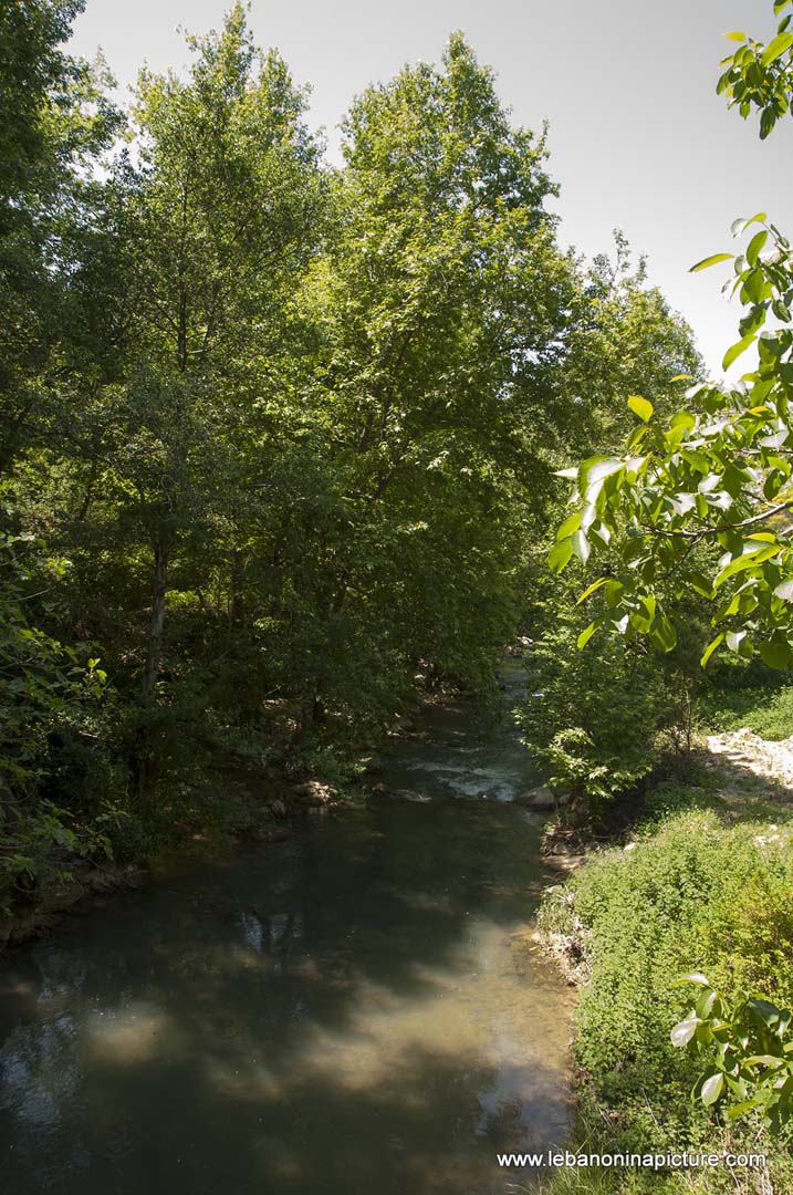 Hiking in Wadi Al Mokhtara with Promax (Shouf Biosphere Reserve)