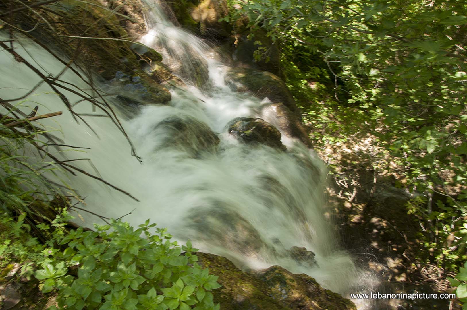 Hiking in Wadi Al Mokhtara with Promax (Shouf Biosphere Reserve)