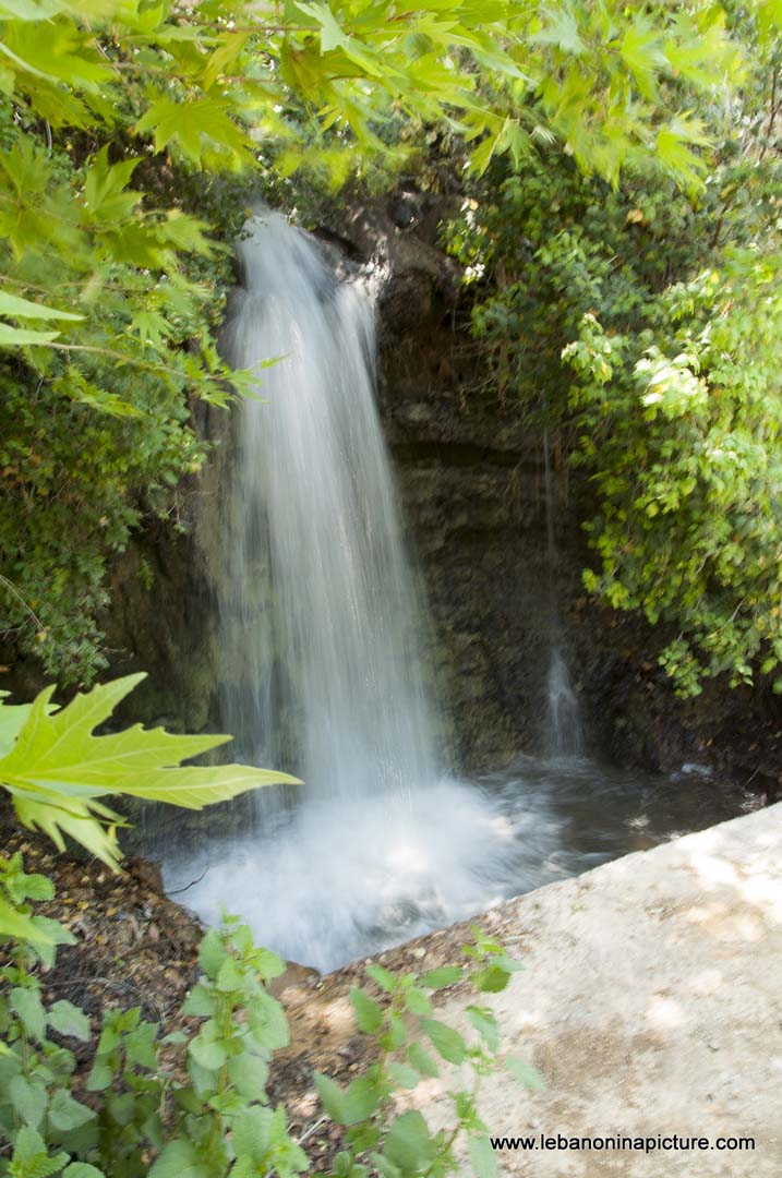 Hiking in Wadi Al Mokhtara with Promax (Shouf Biosphere Reserve)