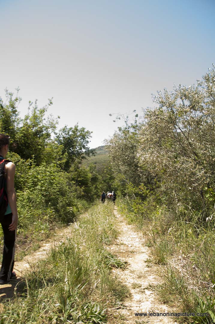 Hiking in Wadi Al Mokhtara with Promax (Shouf Biosphere Reserve)