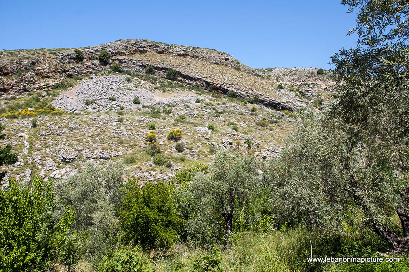 Hiking in Wadi Al Mokhtara with Promax (Shouf Biosphere Reserve)