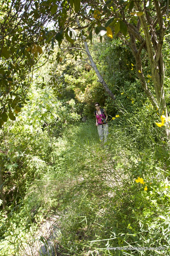 Hiking in Wadi Al Mokhtara with Promax (Shouf Biosphere Reserve)