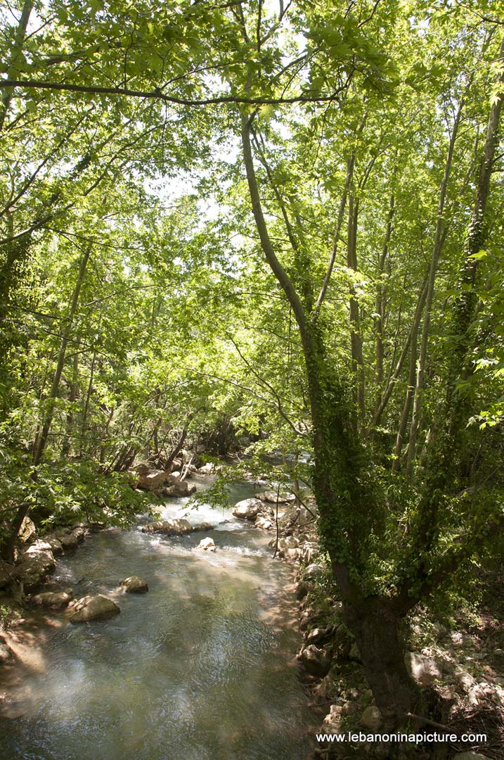 Hiking in Wadi Al Mokhtara with Promax (Shouf Biosphere Reserve)