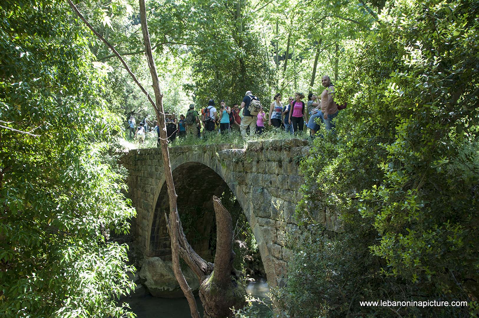 Hiking in Wadi Al Mokhtara with Promax (Shouf Biosphere Reserve)