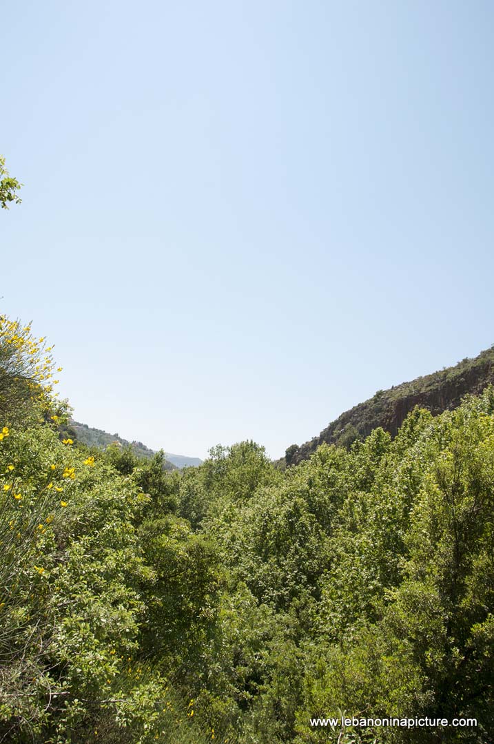 Hiking in Wadi Al Mokhtara with Promax (Shouf Biosphere Reserve)