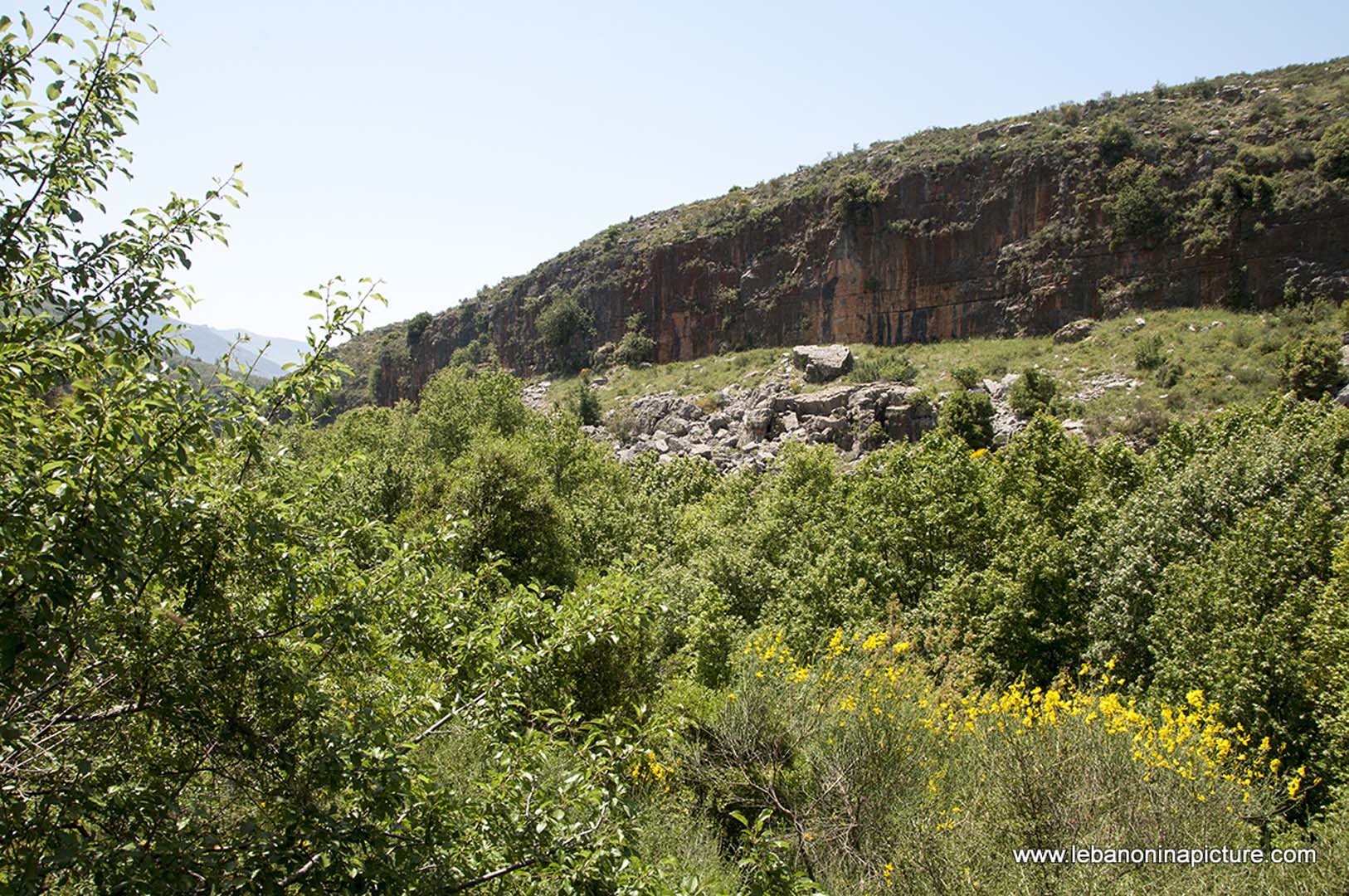 Hiking in Wadi Al Mokhtara with Promax (Shouf Biosphere Reserve)