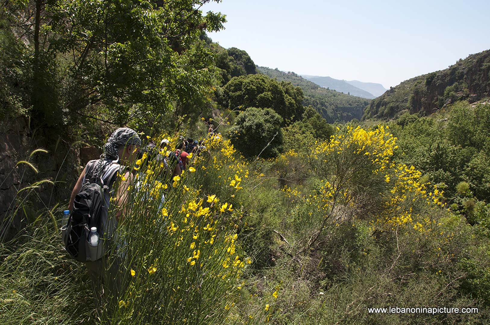 Hiking in Wadi Al Mokhtara with Promax (Shouf Biosphere Reserve)