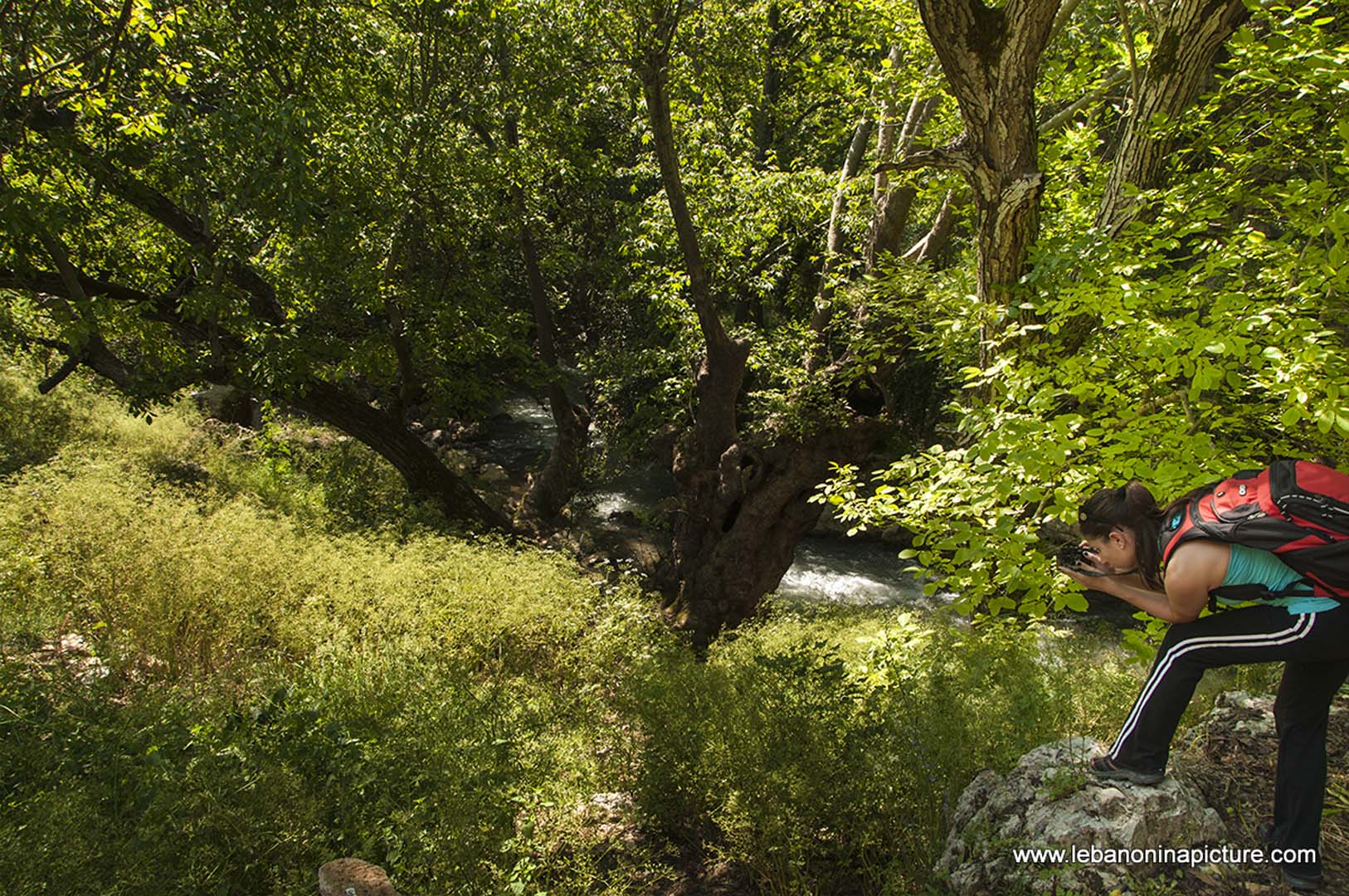 Hiking in Wadi Al Mokhtara with Promax (Shouf Biosphere Reserve)