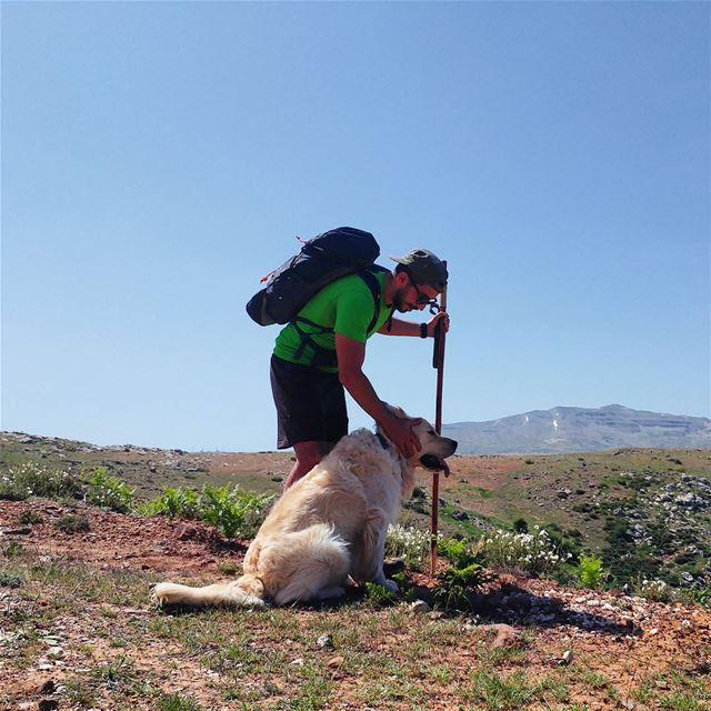 Hiking is always better with a dog🚶🏻🐶 (My Adventures Lebanon)