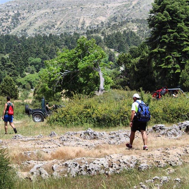  hiking lebanon_hdr  naturelovers  natureaddict  livelovehike ...