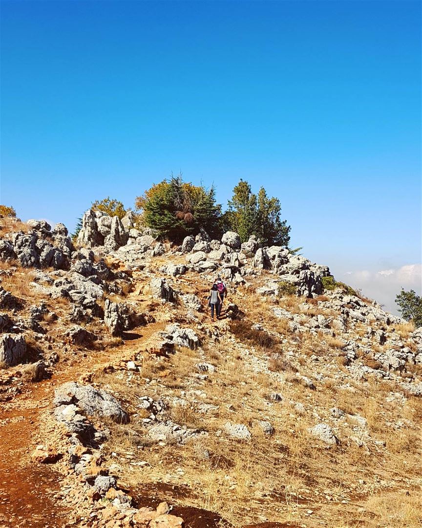  hiking  naturephotography  nature  mountains  whatsuplebanon ... (Chouf)