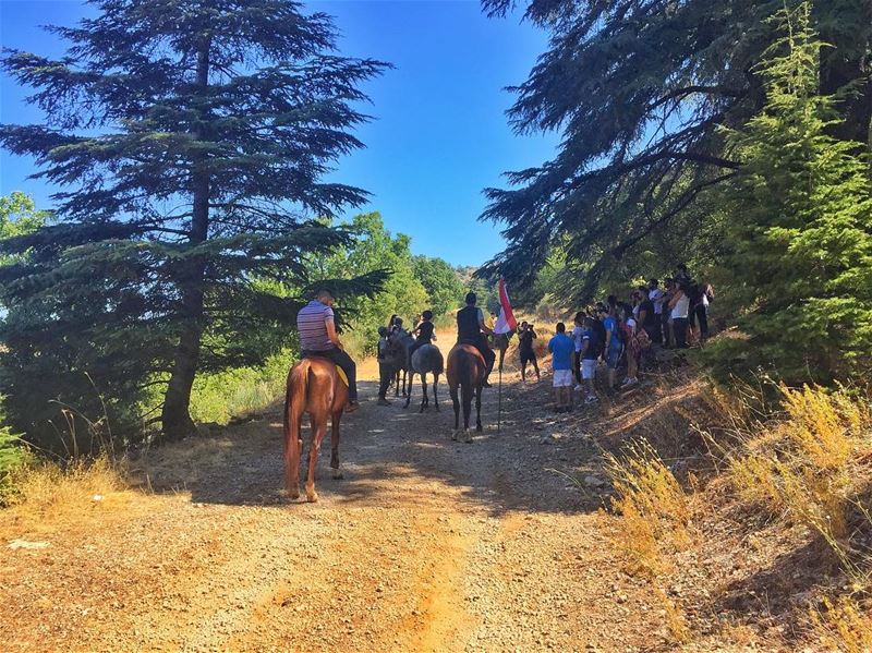 Hiking or horse back riding?
