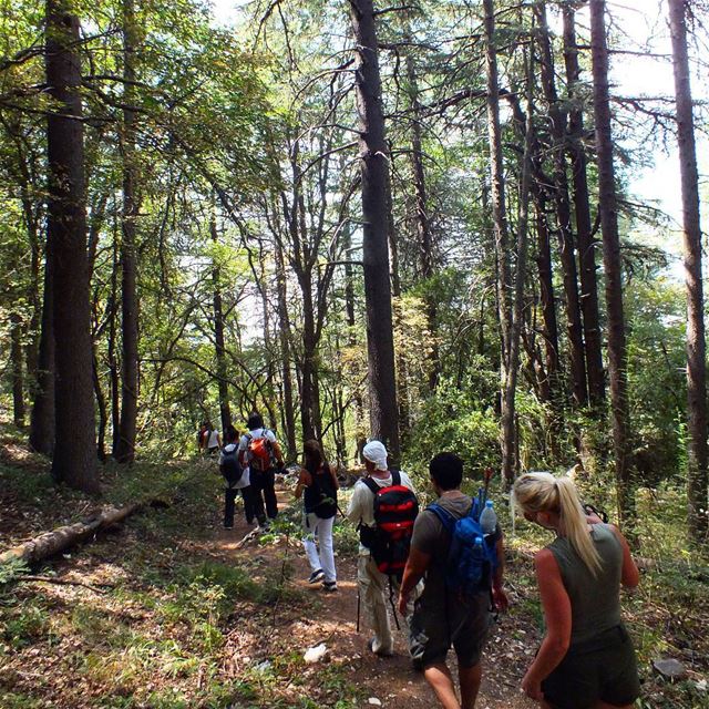  hikinglebanon  lebanonnature  travellebanon  adventurelebanon ...