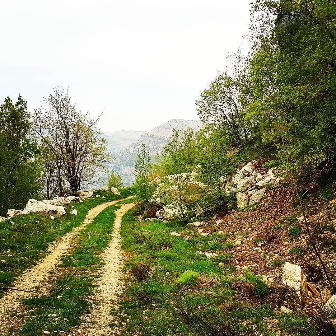  hikingtrail hikingadventure livelovehiking naturephotography naturelovers... (Akoura, Mont-Liban, Lebanon)