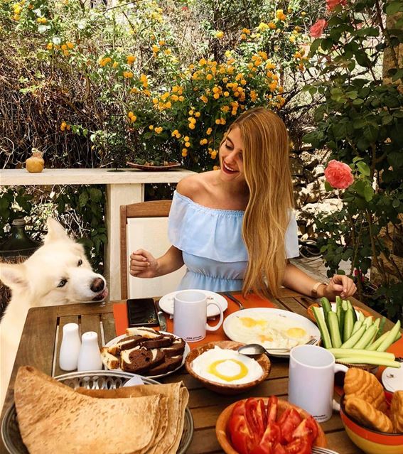 His face says it all🐶 (Bkâssîne, Al Janub, Lebanon)