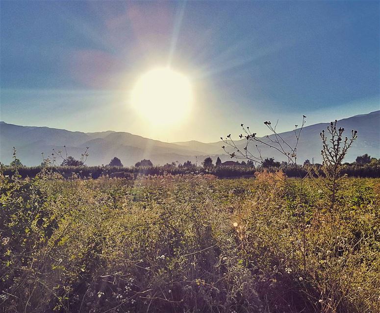 Home is where the heart is. GoodMorning LiveLoveBekaa... (Beqaa Valley)