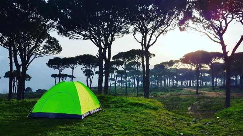 Home is where you pitch your tent🏕 livelovebeirut  wearelebanon  ... (Ra'S Al Matn, Mont-Liban, Lebanon)