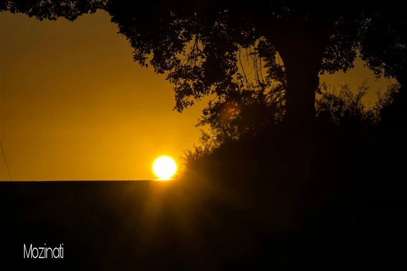 Hope Is being Able To See That There Is Light Despite All Of The Darkness!. (Hoûmîne El Faouqa, Al Janub, Lebanon)