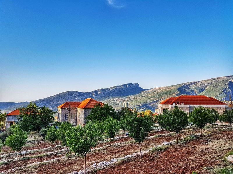 Houses of Lebanon  lebanonhouses  houses  mountain  village ... (Douma, Liban-Nord, Lebanon)