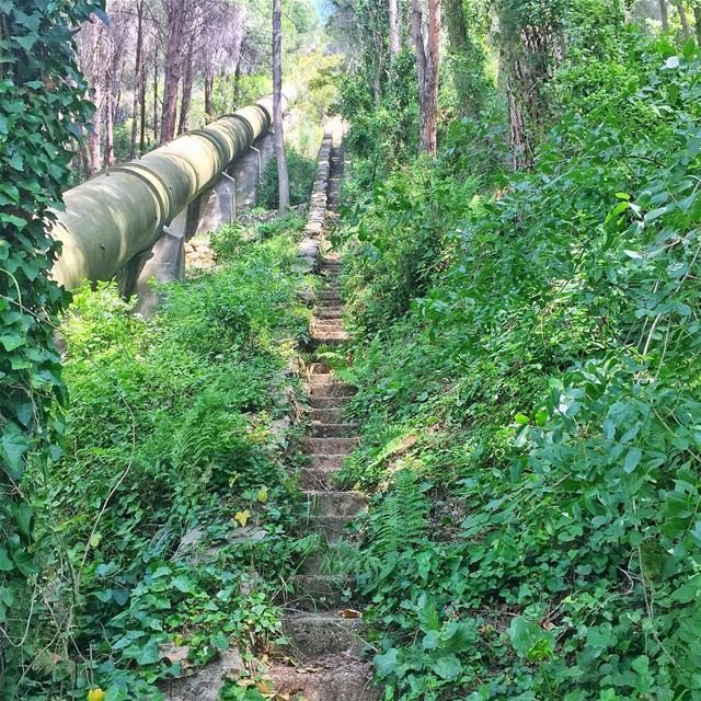 How many steps you see? (Kaftoun Al Koura)