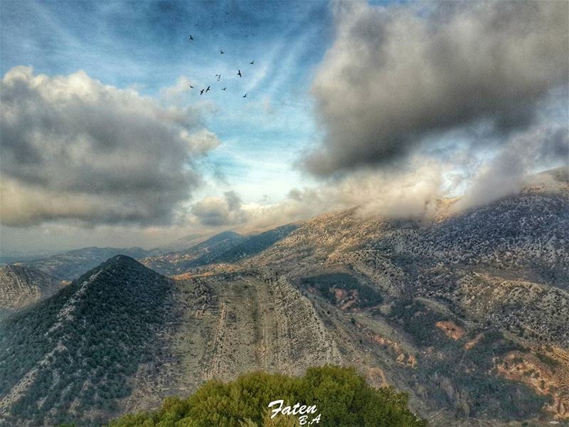 I am an Autumn Lover!! ❤_________________________________________Follow👇 (Niha - Al Shouf)